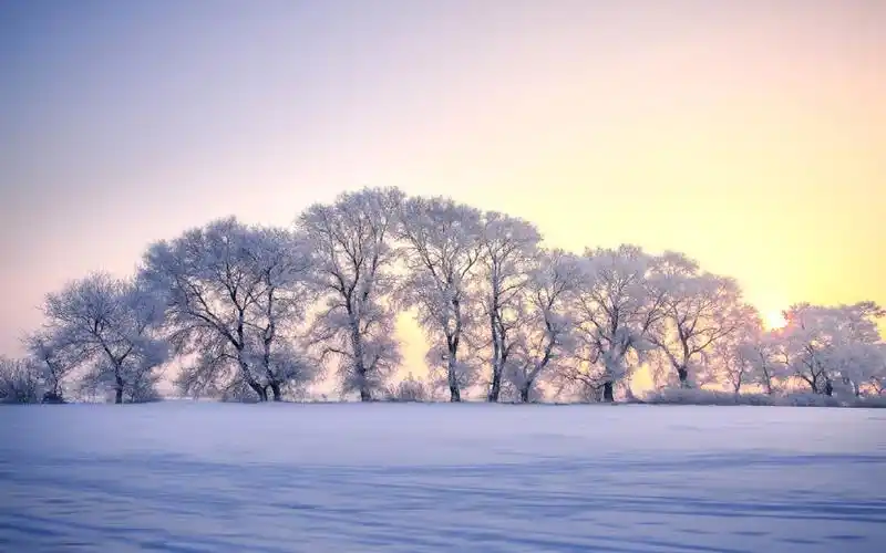 雾凇岛唯美雪景图片桌面壁纸-风景壁纸-手机壁纸下载-美桌网