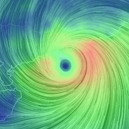 据说考试时脑内会单曲循环满屏乱弹的动态图