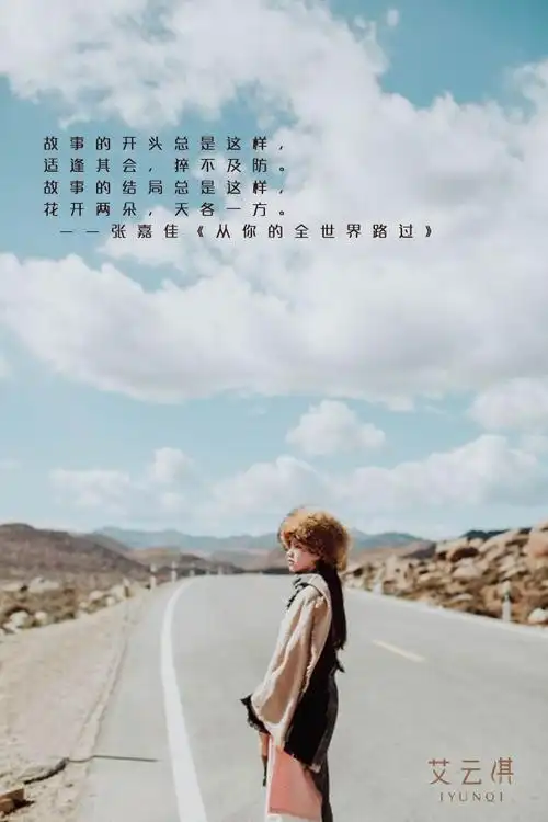 故事的结局总是这样,花开两朵,天各一方.