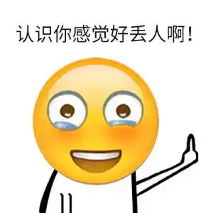 骗子科技股,丢人现眼.连st股都不如.