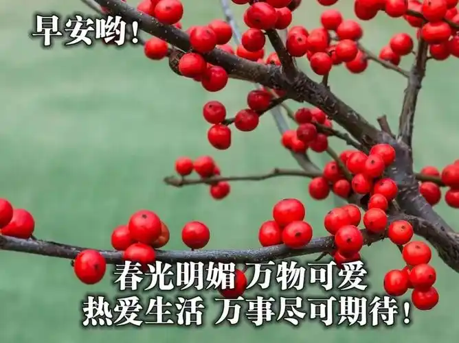 暖心幸福的早上好祝福图片唯美清新的早安祝福语