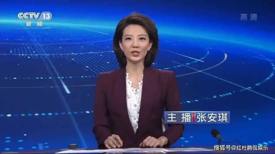 央视新闻播音范儿曾在北京广播电视台出镜(组图)-最新要闻-秉贤文通