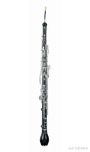 有没有什么冷门的,外国的适合演奏哀乐的乐器?