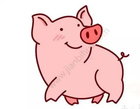 工具/材料工具/材料白纸,黑白铅笔,彩笔.操作01先画猪鼻子.