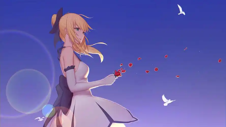 fate壁纸分享(各类角色)(2)