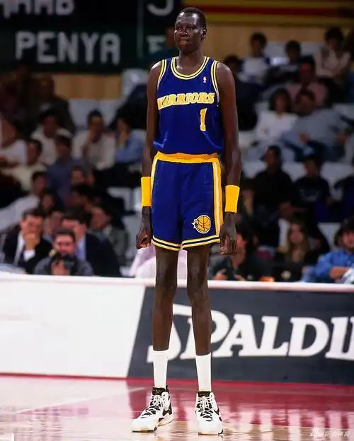 > nba名人堂"最高之人"马努特-波尔球星图片(7/10)