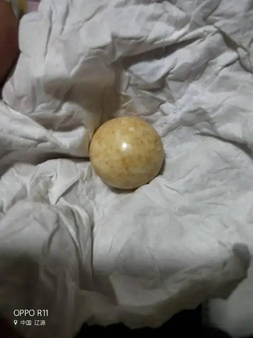 有懂舍利子的吗,帮我看看值多少钱