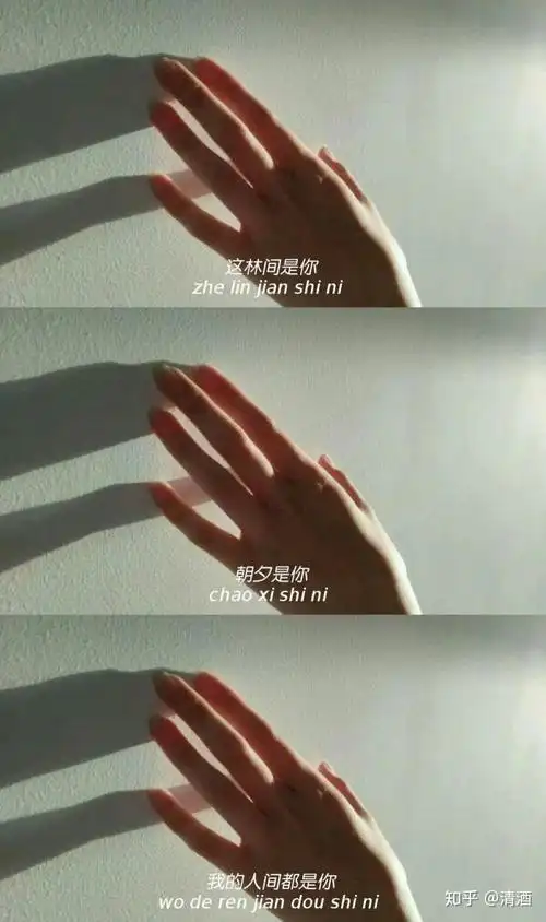 有哪些惊艳的三宫格壁纸? - 知乎