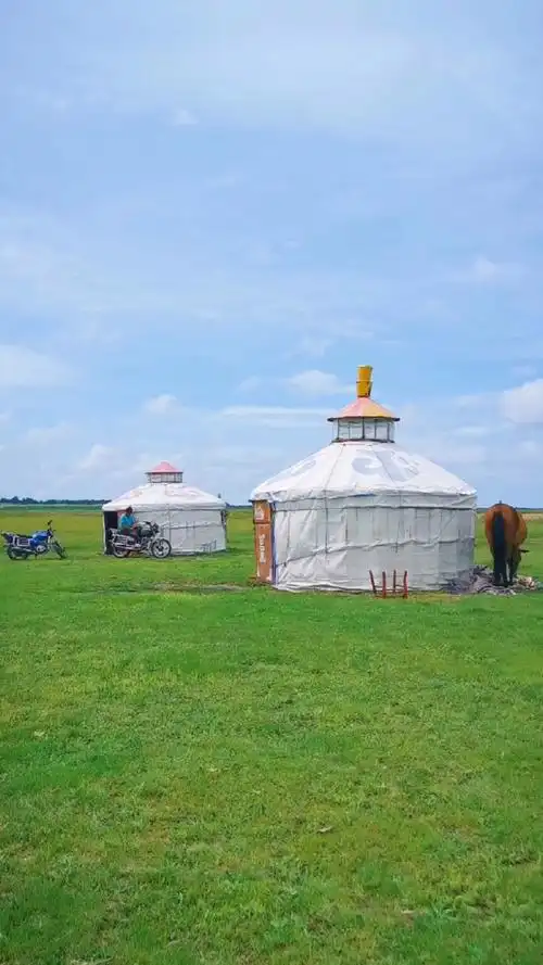 旅游进行时#美丽的呼伦贝尔大草原