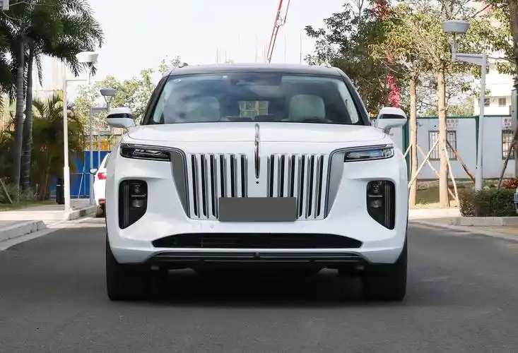 售价58.98万起,2024款红旗e-hs9上市!产品力如何?-车市号