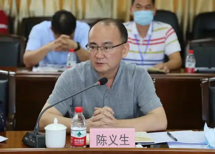 镇党委书记陈义生发言