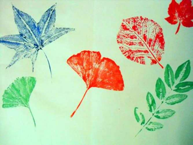 三年级上册美术课件第9课天然的纹理▏人教课标版共40张ppt