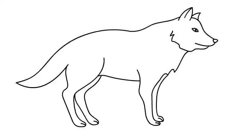 狼简笔画上色