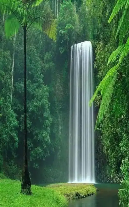 1600_2563竖版 竖屏