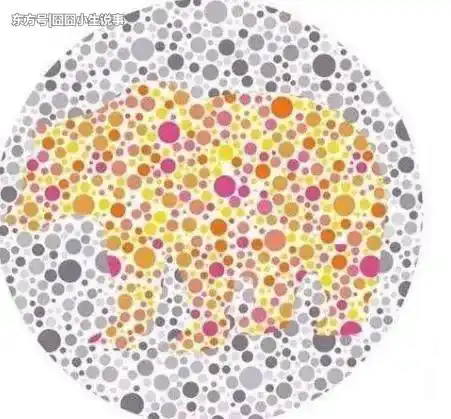 驾校色盲眼力考察,如果你只能看到数字8和66,估计要哭了