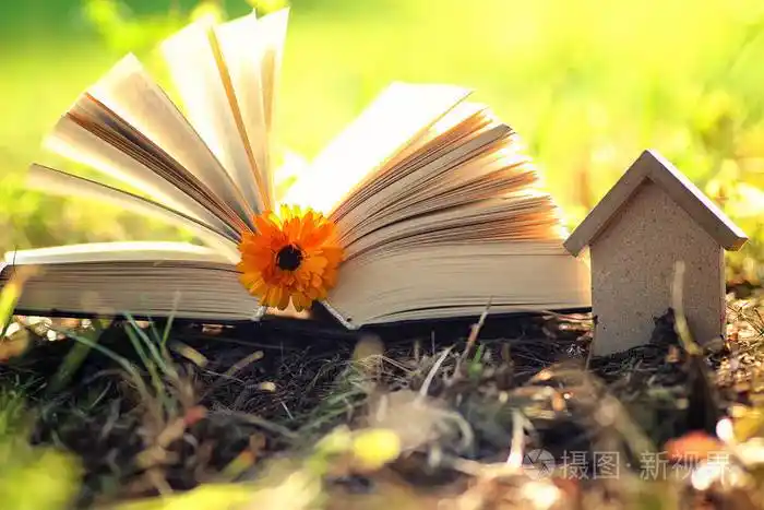 打开的书与花在草地上