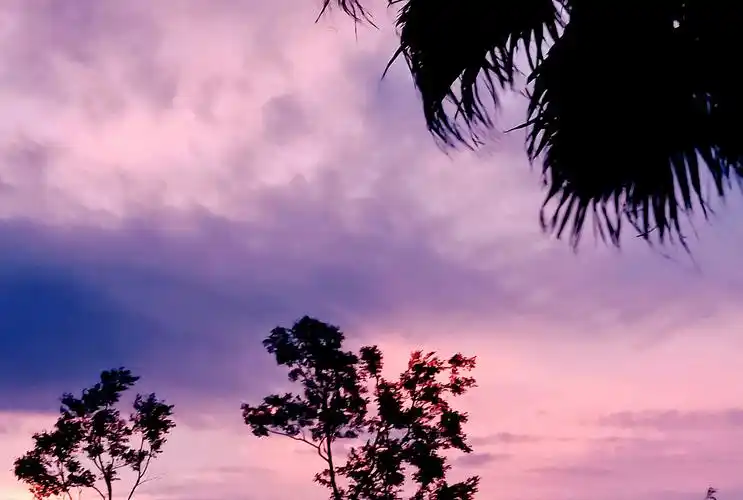 立秋的粉色系天空哦