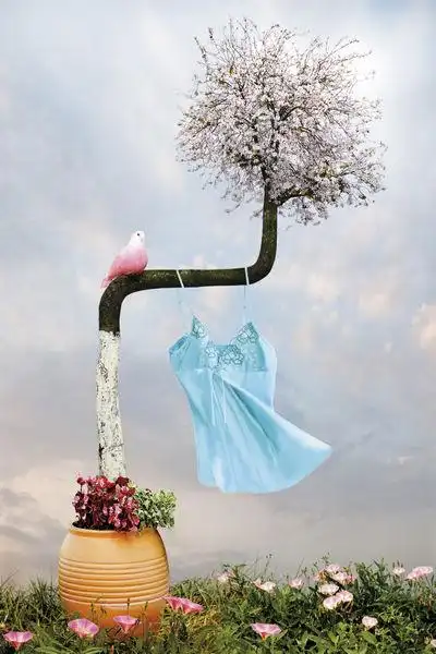 "伯奇杯"创意摄影展 isee摄影大师工作坊作品展