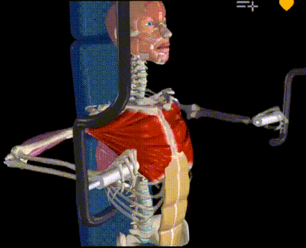 440_356gif 动态图 动图