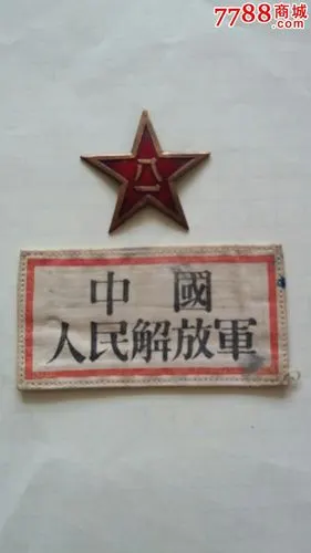 50式帽徽和胸章一套