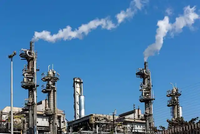 这几种食物富含重金属提醒家人要少吃别等进医院了才后悔