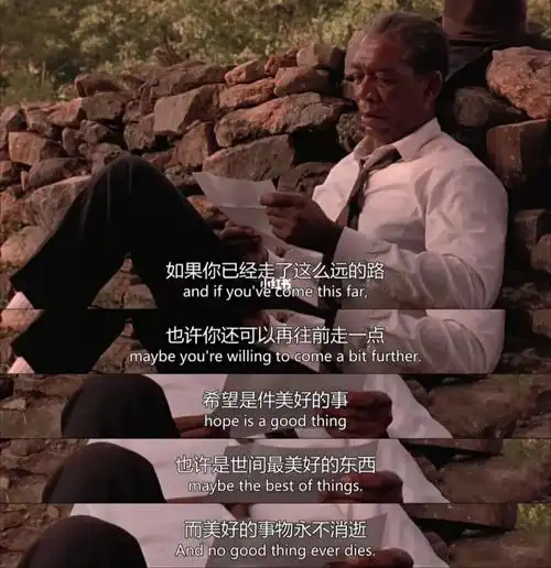 《肖申克的救赎》 :有些鸟不能关在笼子里