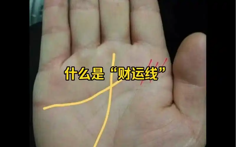 手相解析:财运线