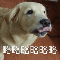 叫你略略略表情包 - 叫你略略略微信表情包 - 叫你略略略qq表情包