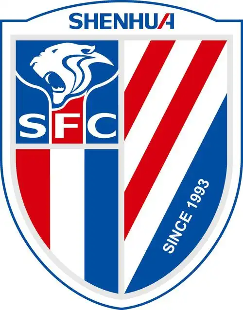 有哪些足球队队徽特别漂亮