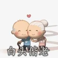 白头偕老文字头像 和你一起白头偕老的头像_微信头像图片大全