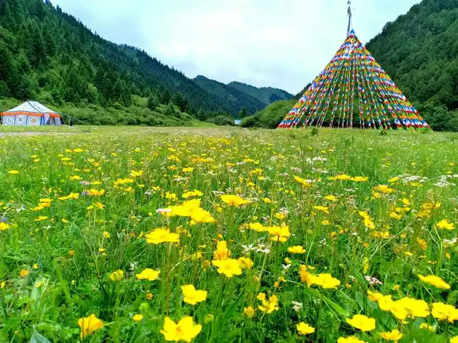 【美图】甘肃·卓尼县车巴沟迷人风光―摄影者梦中的天堂