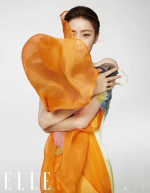 佟丽娅编发头巾造型