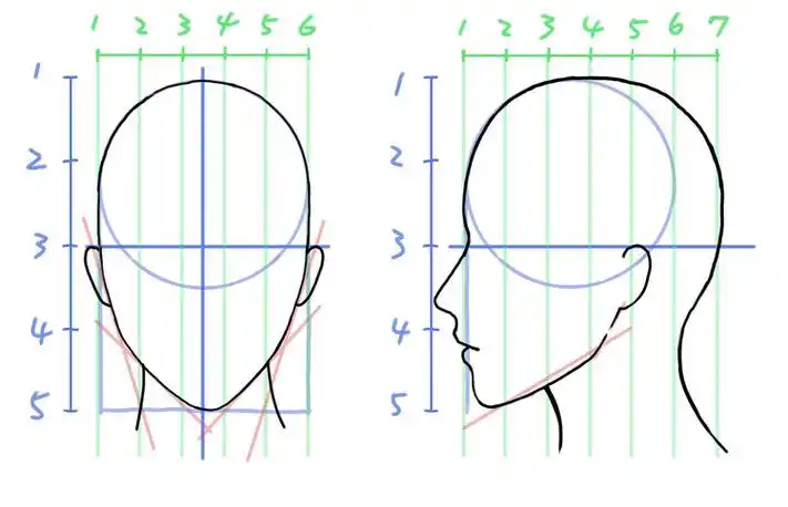 美女头部五官比例