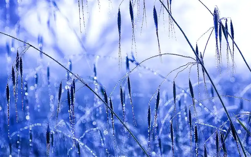 精选好看的蓝色护眼风景图片桌面壁纸高清下载