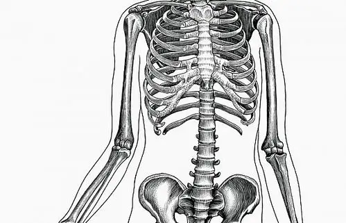 素材用途图片素材