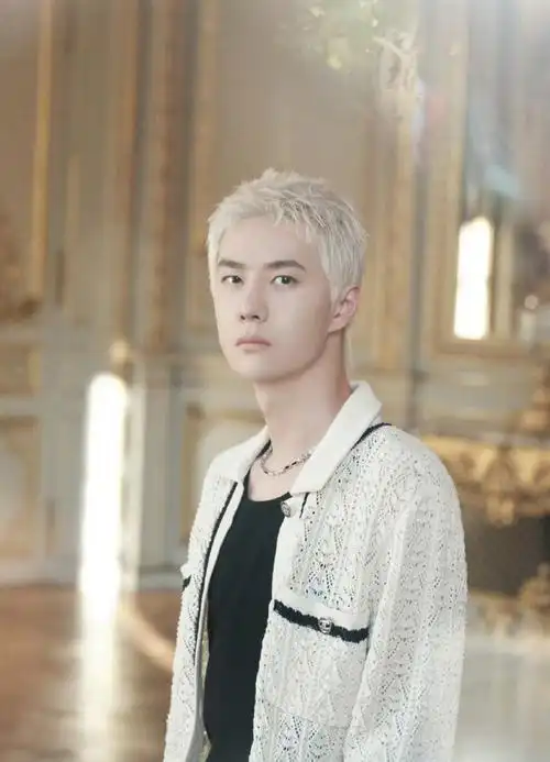 王一博 香奈儿##王一博白金狼尾街拍