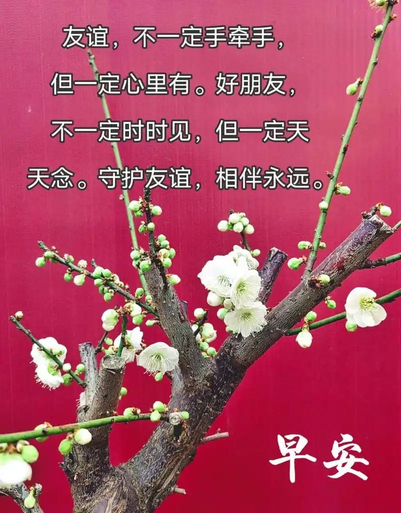 早上好 友谊,不一定手牵手,但一定心里有.
