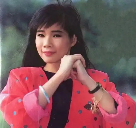 歌手韩宝仪个人资料 韩宝仪是哪里歌手 - 歌词译