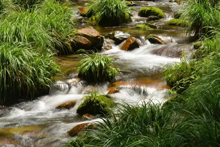 涓涓溪流 风光 风光 石头 小溪 尼康 素材 高清 湿润 河流 瀑布 景点