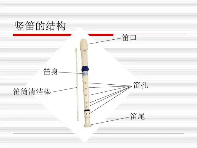竖笛的结构 笛口 笛身笛筒清洁棒 笛孔 笛尾