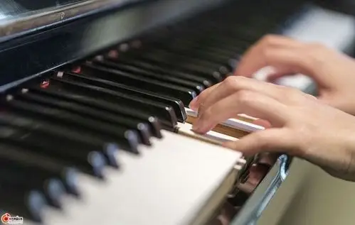 【好文分享】弹钢琴主要靠气质还是靠手?