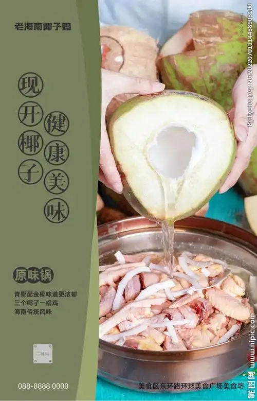海南椰子鸡设计图__海报设计_广告设计_设计图库_昵图网nipic.com