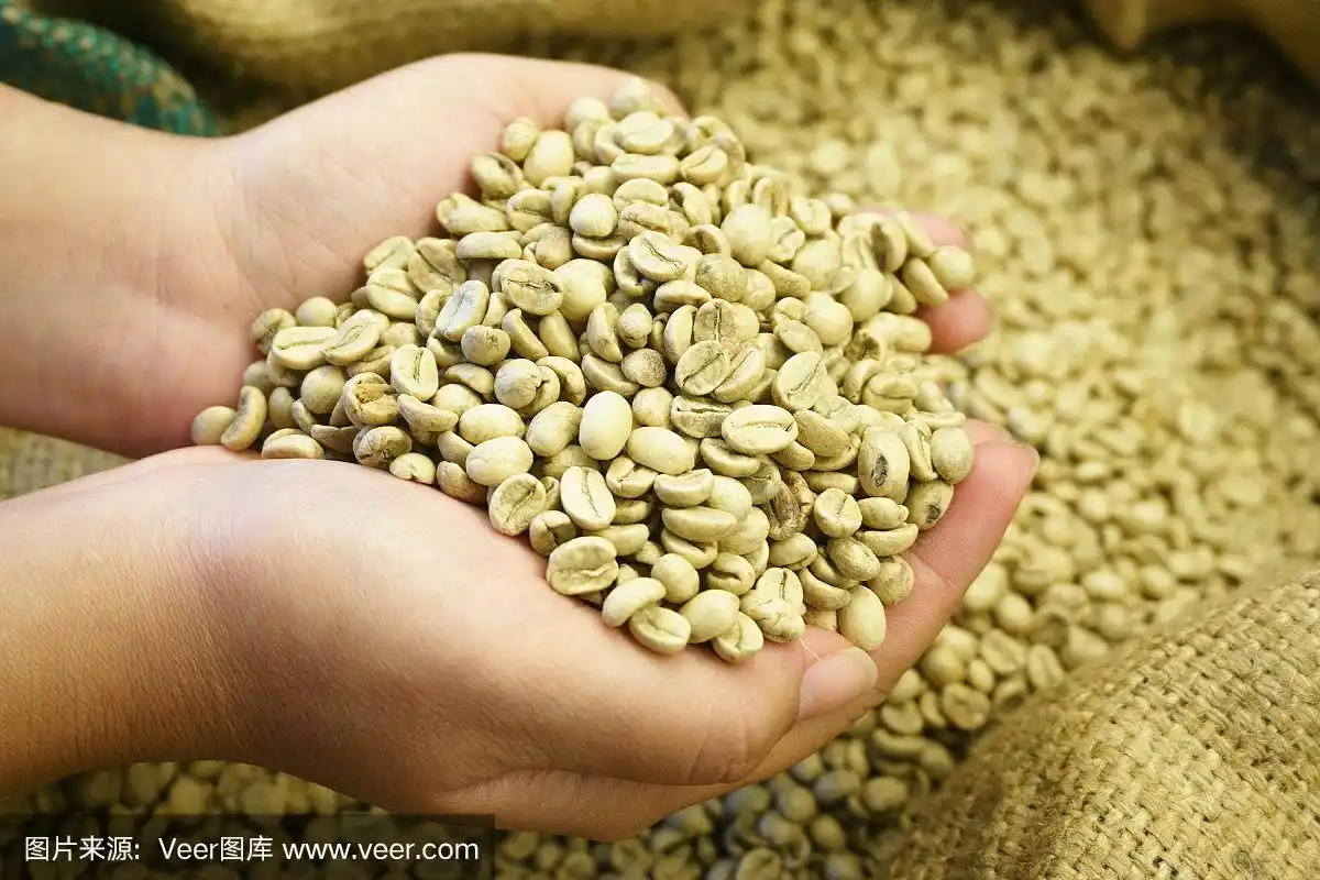 生咖啡豆