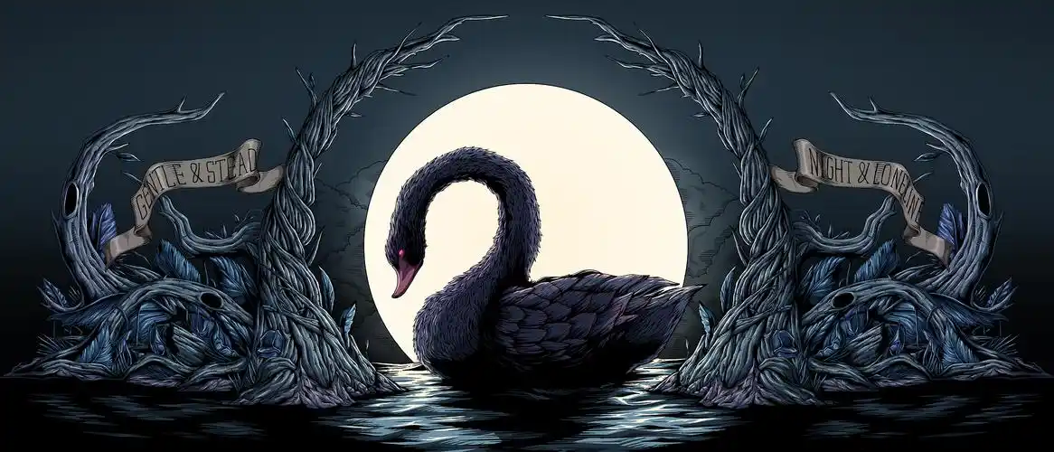 the black swan lake 黑天鹅湖|平面|海报|theq_design - 原创作品