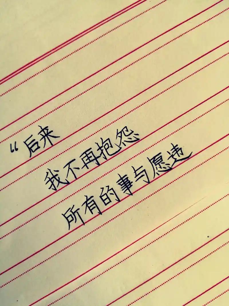 情感文字 #文字 #手写 #硬笔  所有的事与愿违,都是我 - 抖音