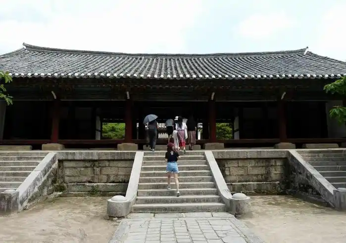 成均馆内古木参天,据说有的已有近千年的树龄.