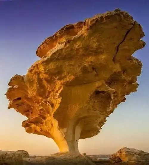 绝世罕见的怪石真是太美