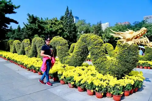 中山公园菊花展.