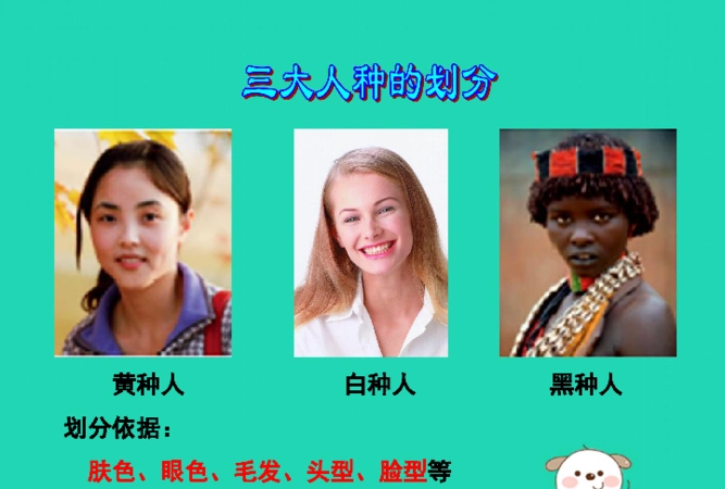 世界各种人种数量