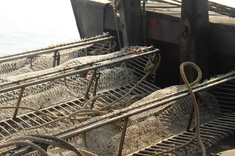 这是拖网,这是今天捕捞工具